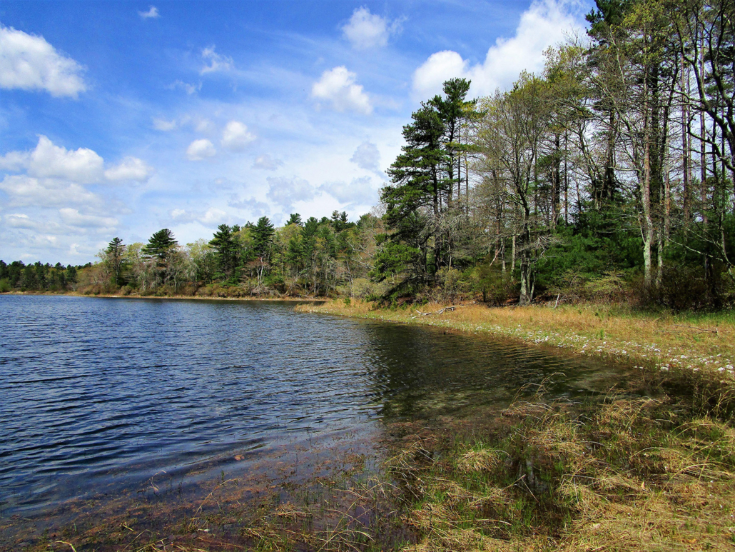 Muddy Pond Wilderness Preserve