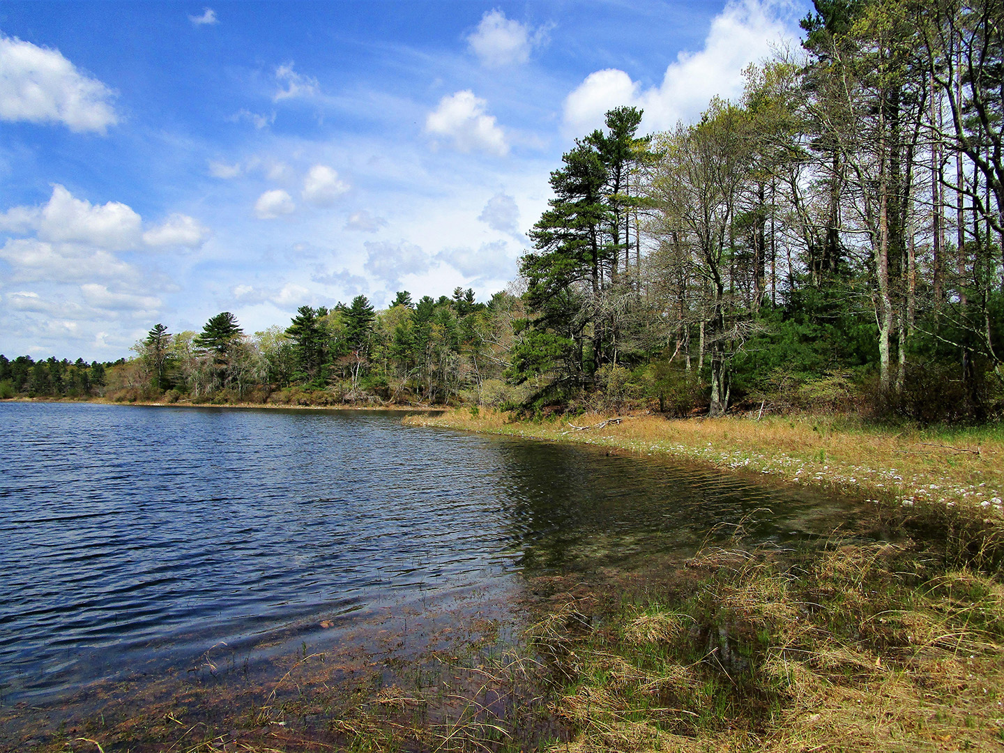 Muddy Pond Wilderness Preserve - Northeast Wilderness Trust