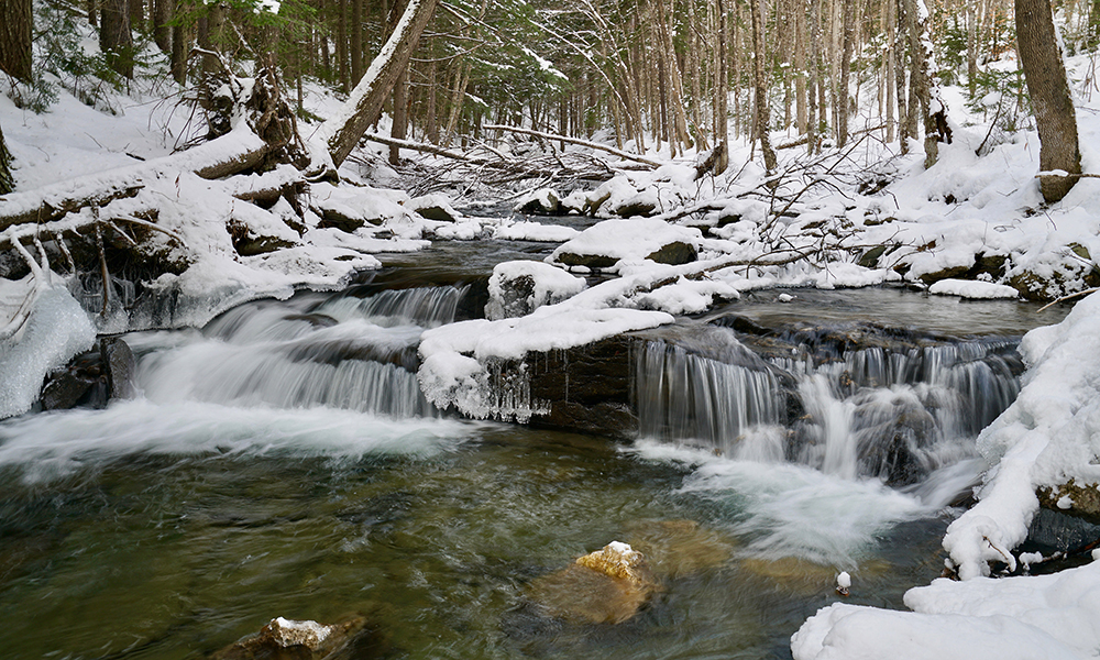 Bramhall Wilderness Preserve