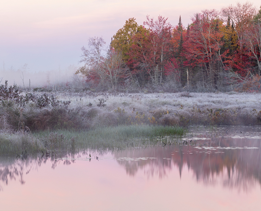 On Hunting: A Letter from the President and CEO