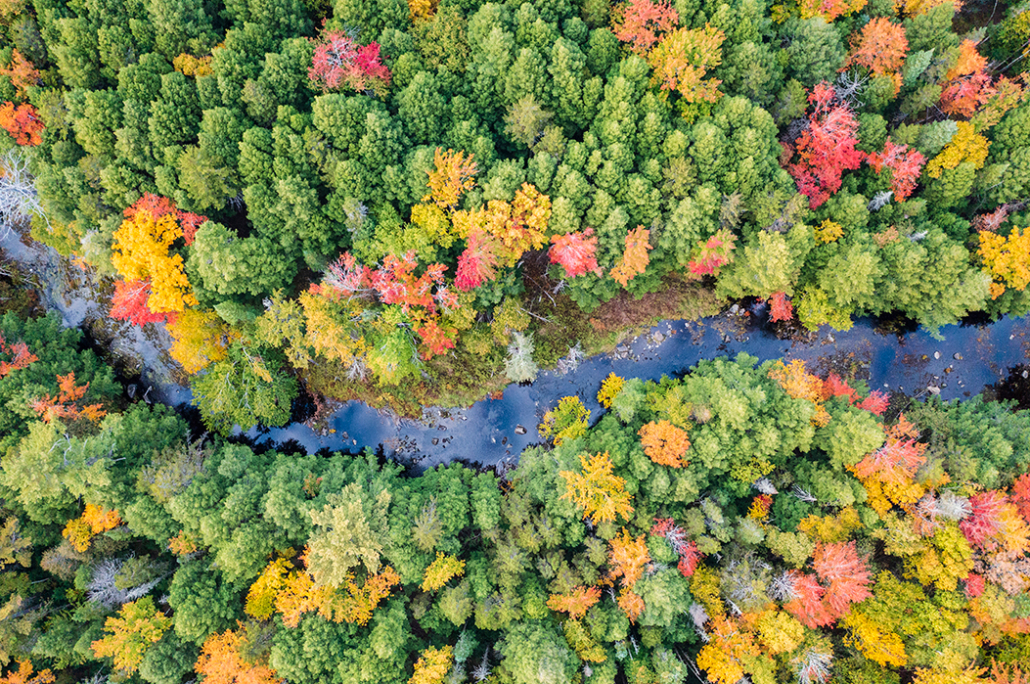Sweet Water Trust’s legacy lives on at Northeast Wilderness Trust