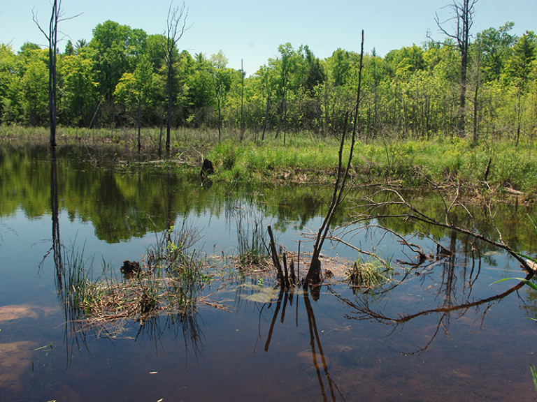 Split Rock Wildway Northeast Wilderness Trust