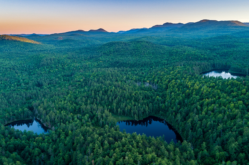 Wildlands Partnership Launches