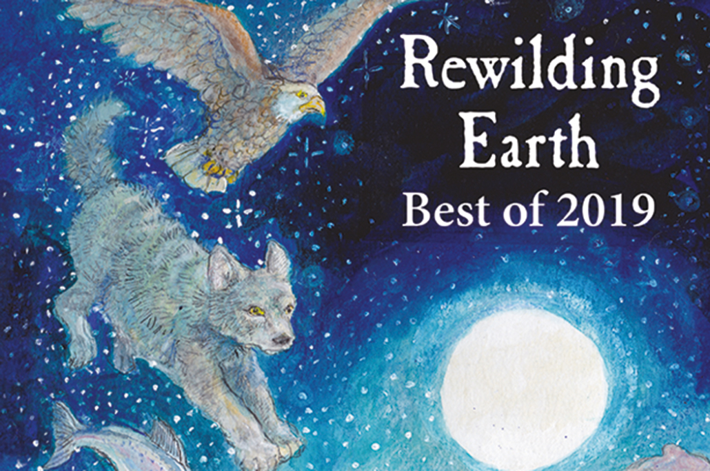 Best of Rewilding Earth 2019