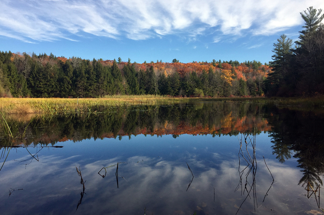 130-Acre Wilderness Sanctuary Created in NH