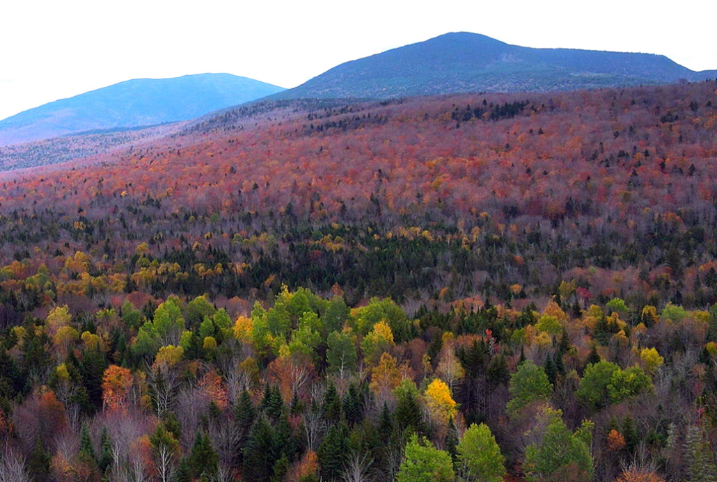 Thank You, Appalachian Trail Conservancy!