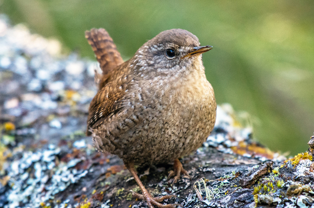 We've Joined Nature Needs Half!
