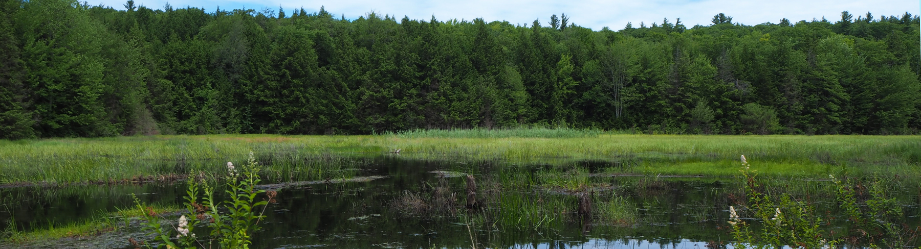 Hoffman-Header1