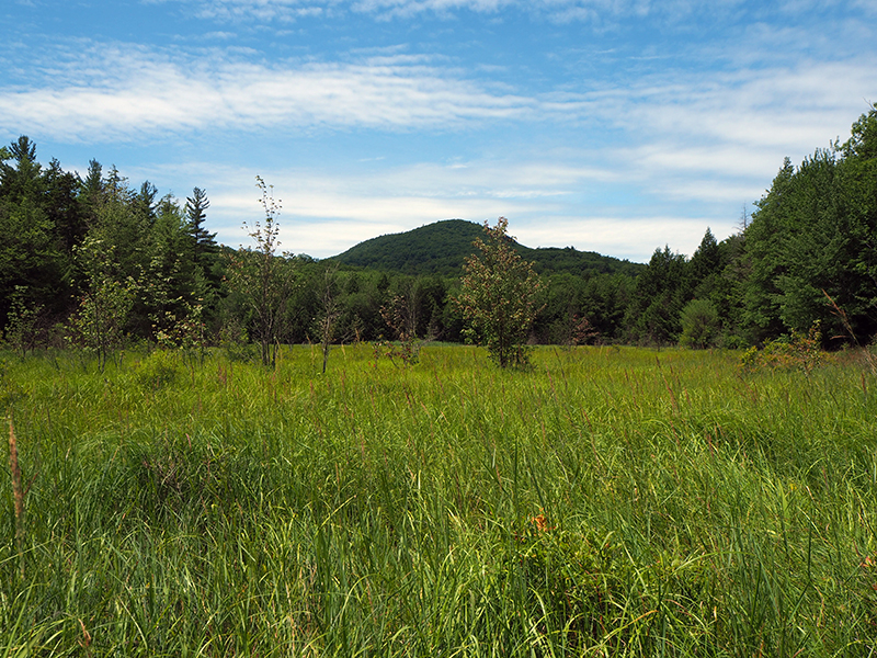 Jack & Margaret Hoffman Wilderness Sanctuary