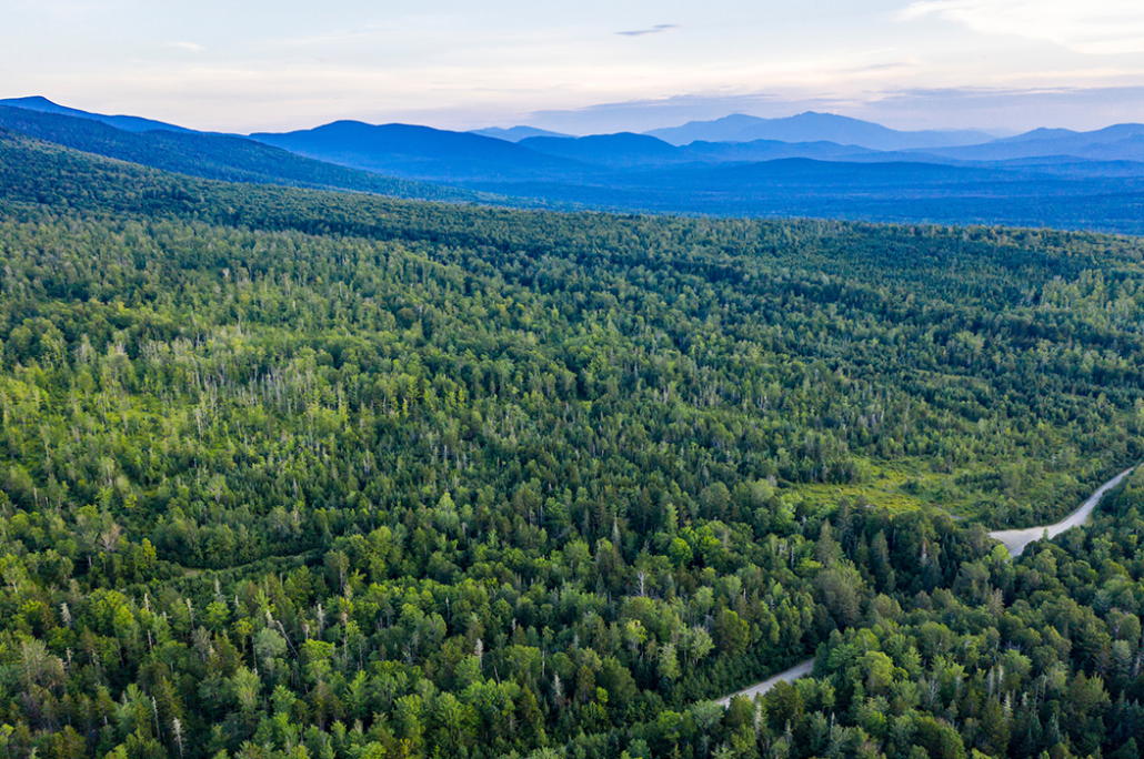 Grafton Forest Fly-Over "Tour"