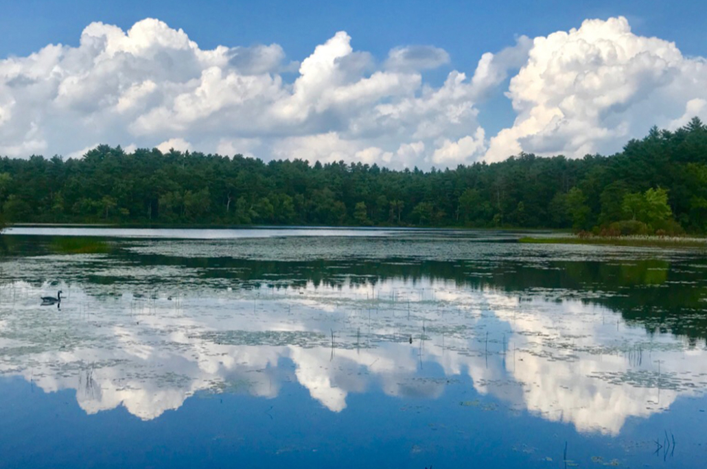 Collaboration with Native Land Conservancy Unfolds