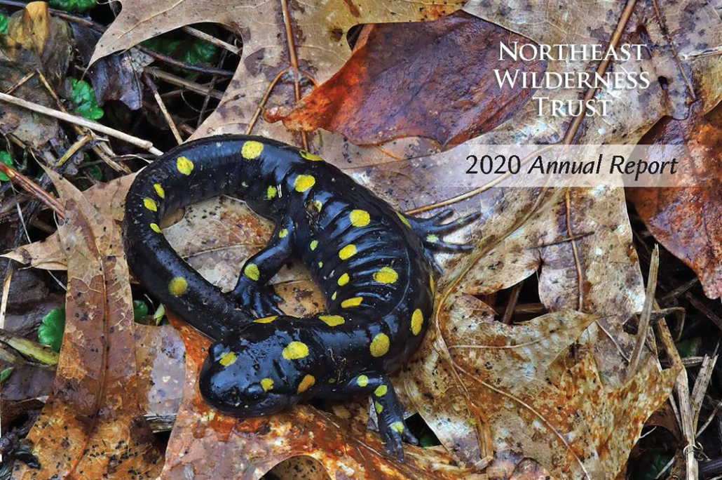 2020 Annual Report