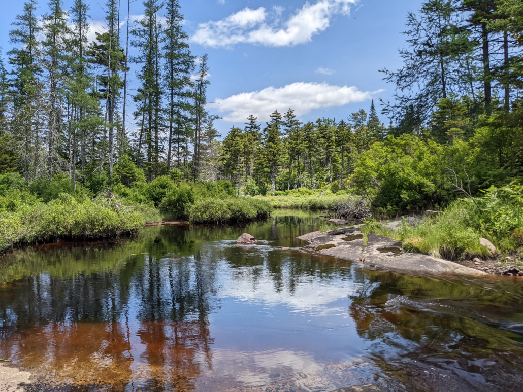 The Middle Branch of the Oswegatchie River flows across the northwestern corner of Lot 11.