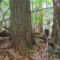 Annie Faulker Headshot
