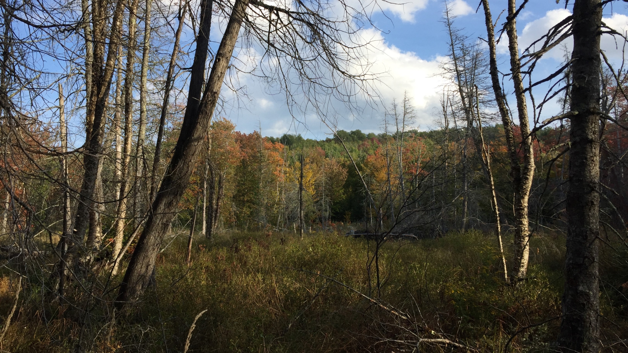 Events-Team-Alder-Hike