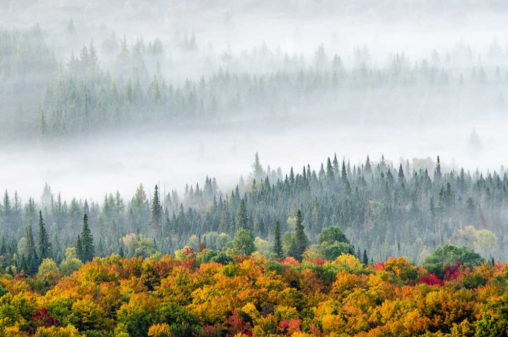 Happy National Wilderness Month!
