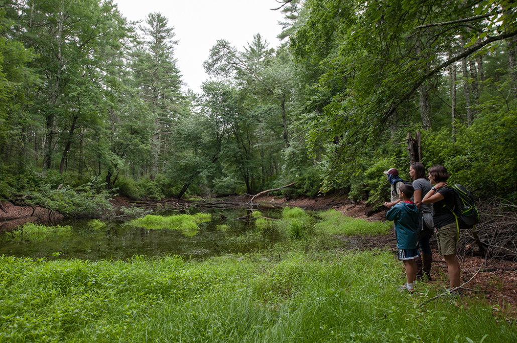 Ambassador Preserves: Places to Rewild the Mind