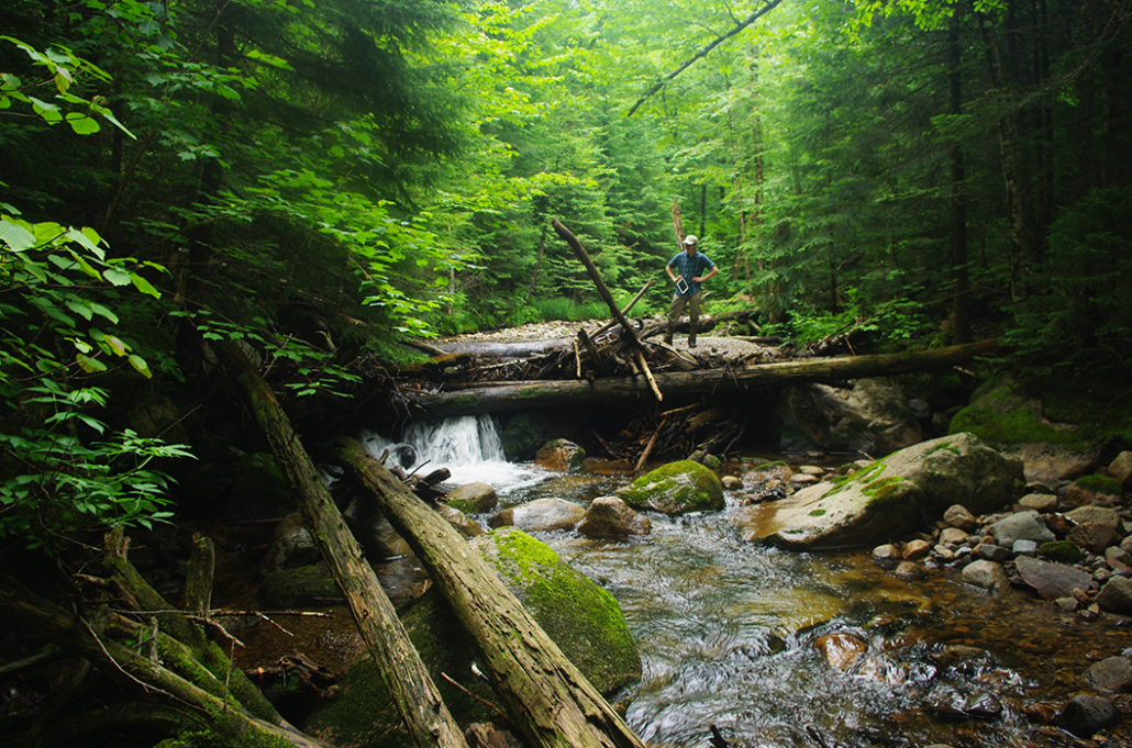 When Water Meets Wilderness