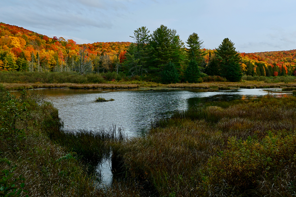 Giving Tuesday: Campaign for Woodbury Mountain