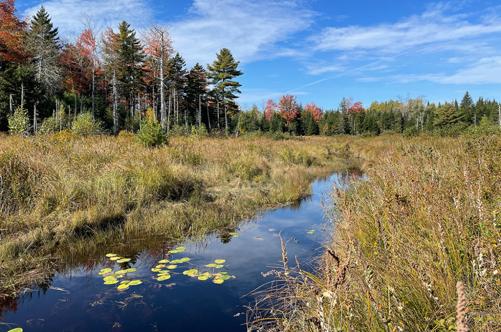 Community Forest in Maine to Stay Forever Wild