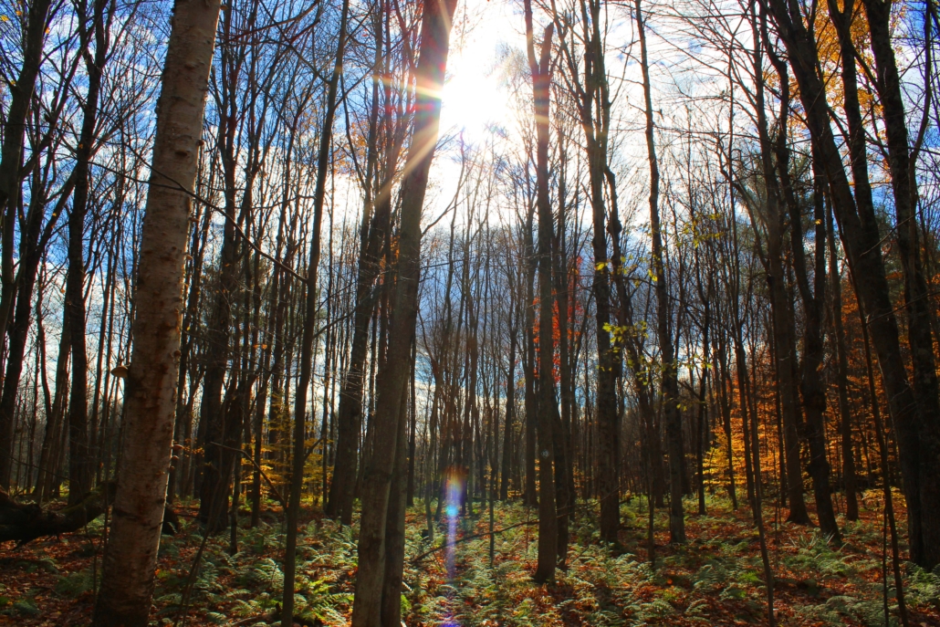 Adventure in Split Rock Wildway Northeast Wilderness Trust