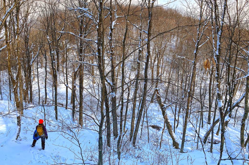 Experience Woodbury Mountain