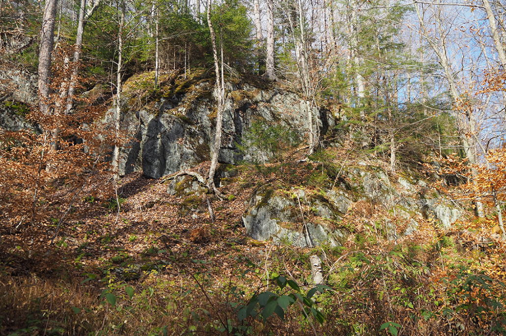 500 Acres Added to Woodbury Mountain