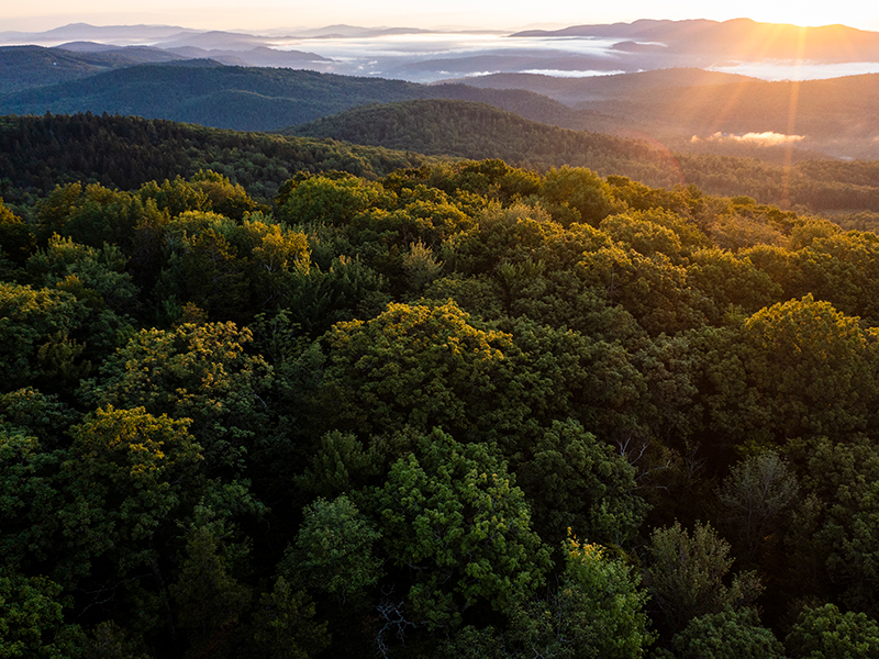 Blue Mountain Wilderness Sanctuary