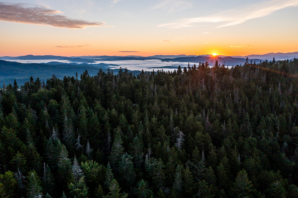 Success for Blue Mountain Wilderness Sanctuary