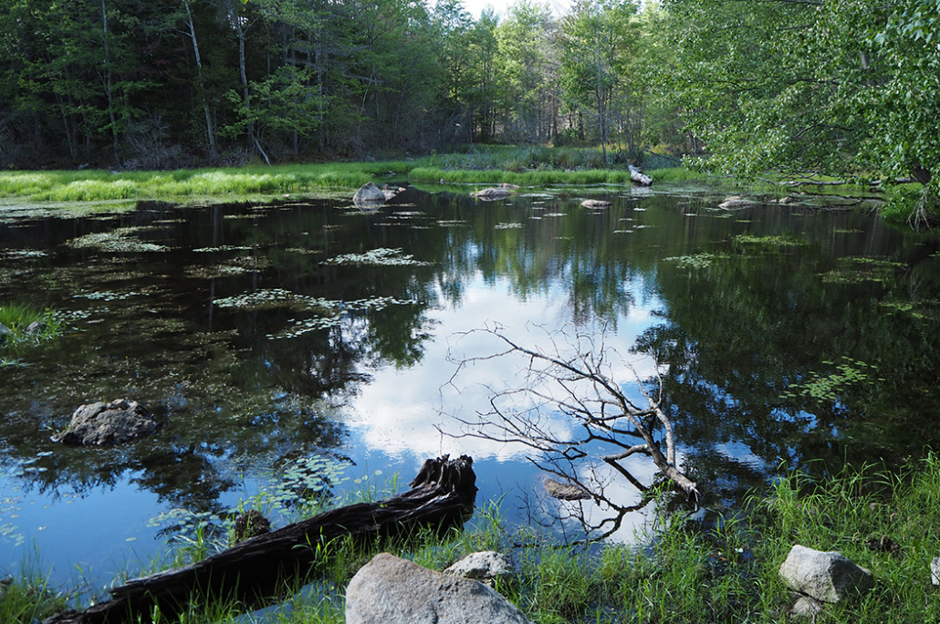 Family Protects 588 Acres