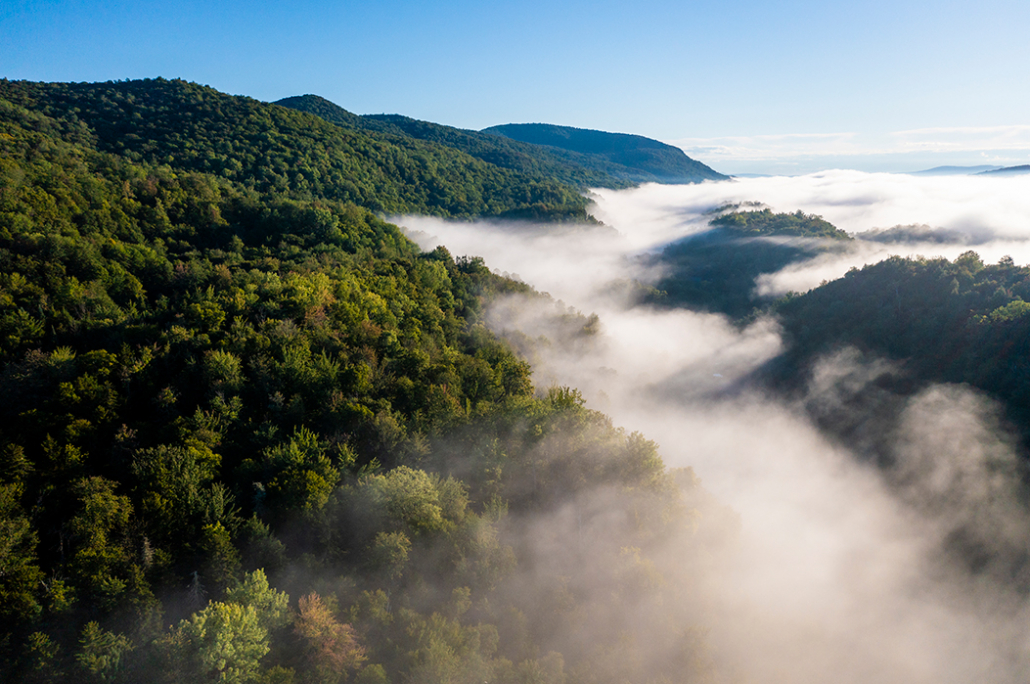 At Home at Woodbury Mountain Wilderness Preserve