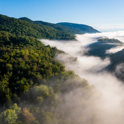 Photo of aerial view of fog rolling through forested mountains.