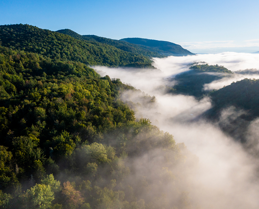 At Home at Woodbury Mountain Wilderness Preserve