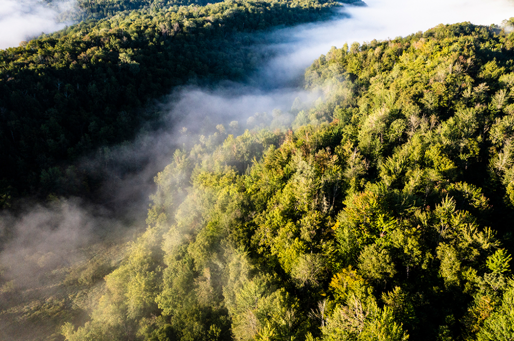 Woodbury Mountain Wilderness Preserve Expands by 123 Acres