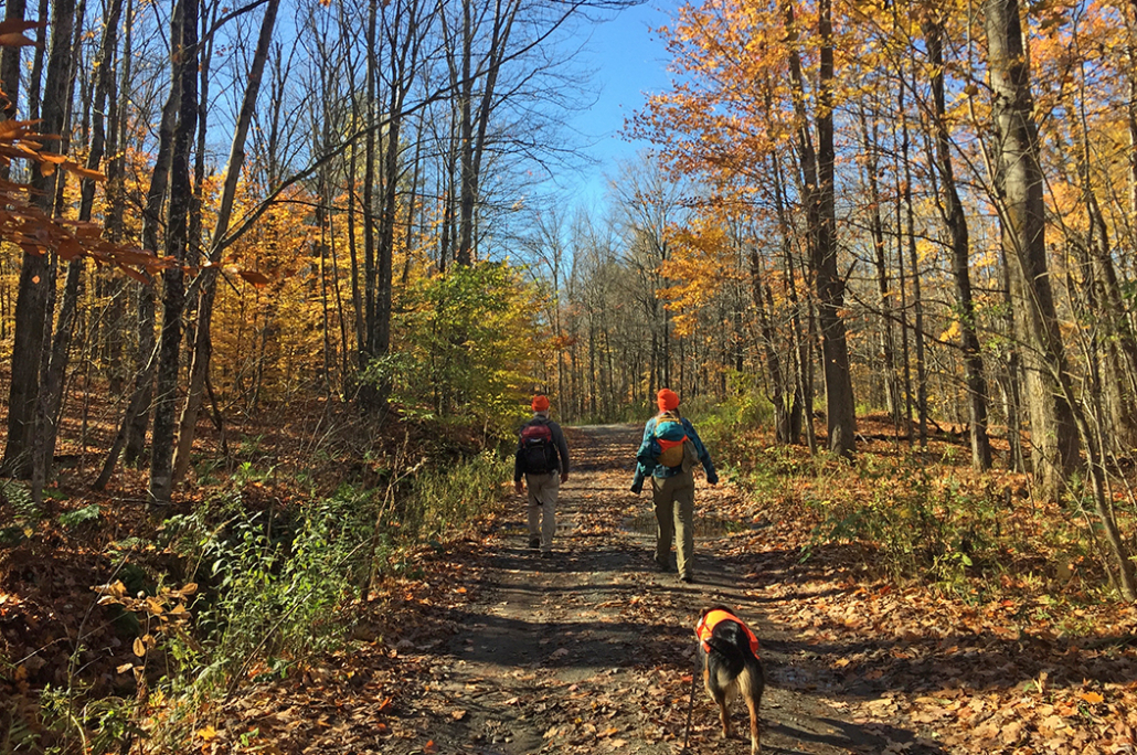 2022 Walk for Wilderness