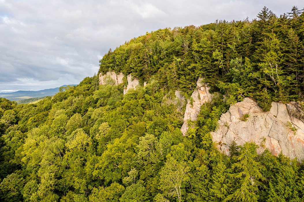 Monkman_VTGMS_D20419