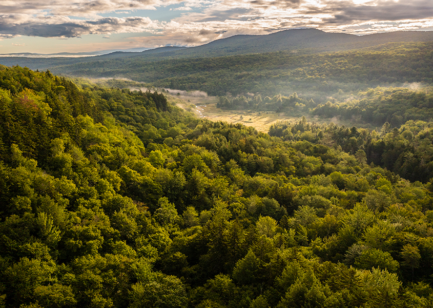 Public Notice of Land Trust Accreditation Renewal and Invitation for Public Comments