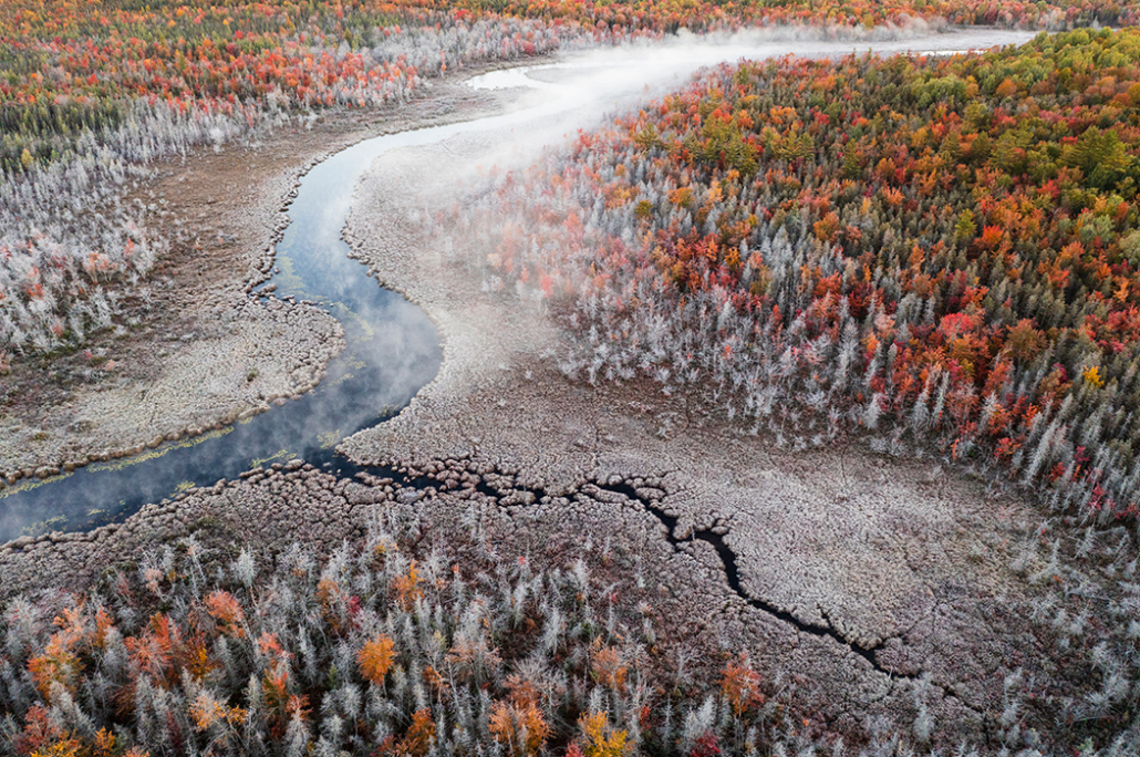 Aerial view of Alder Stream in late autumn.