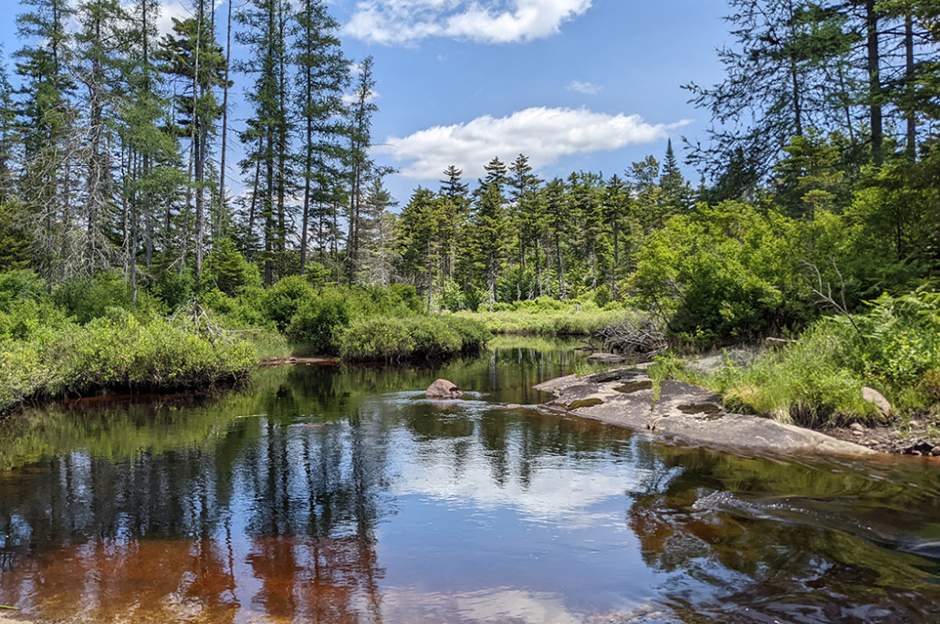 Key acreage acquired within Adirondack Park’s Five Ponds Wilderness