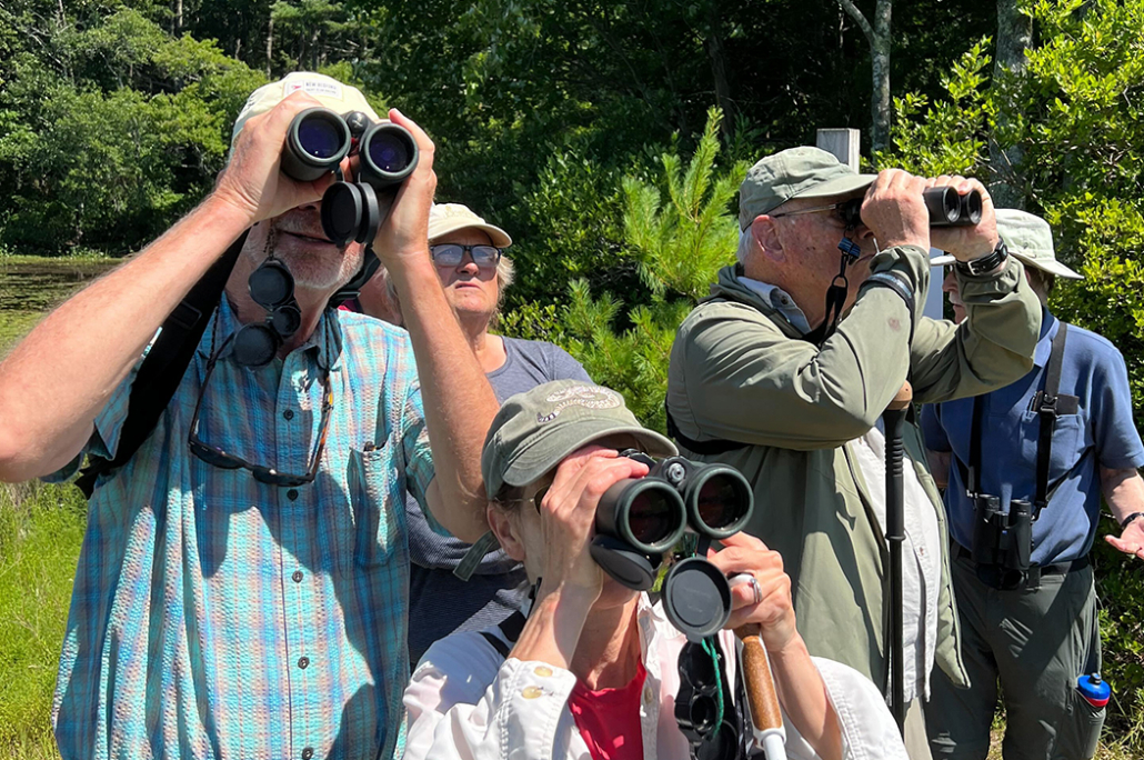 New Heights in Stewardship: A Year In Review