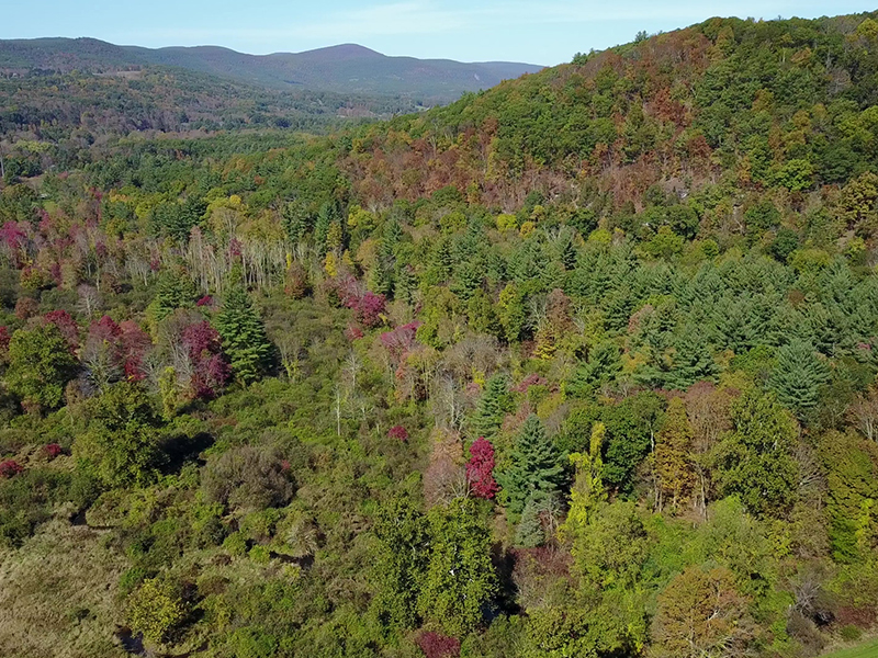 Salisbury Easements