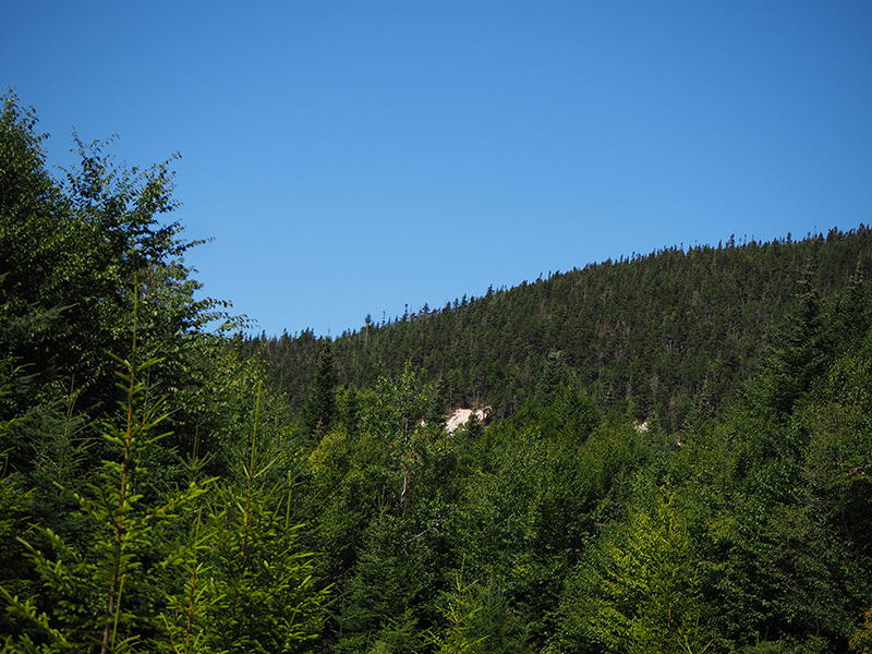 Vickie Bunnell Easement