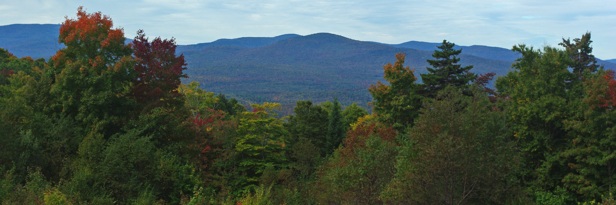 Header-Bunnell-SP