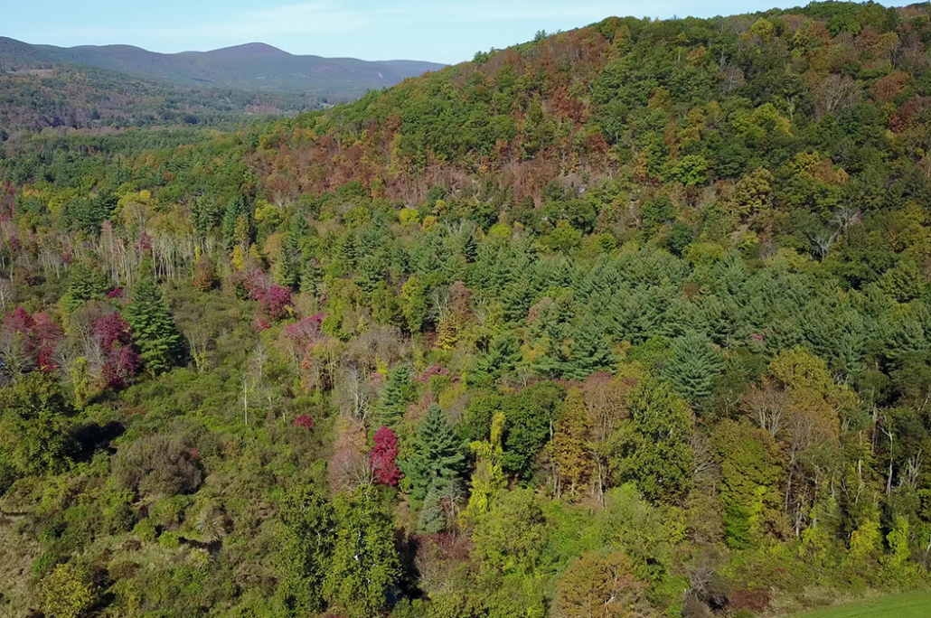 Salisbury Association enrolls 682 acres in Wildlands Partnership