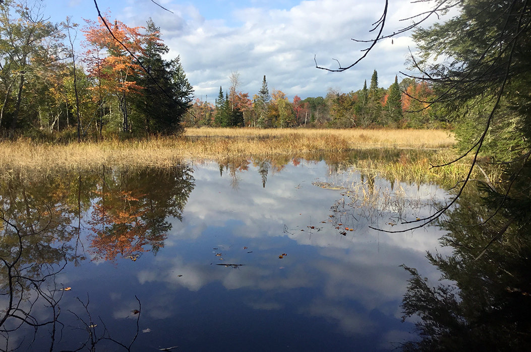 Land protected as foreverwild in Pittston Maine