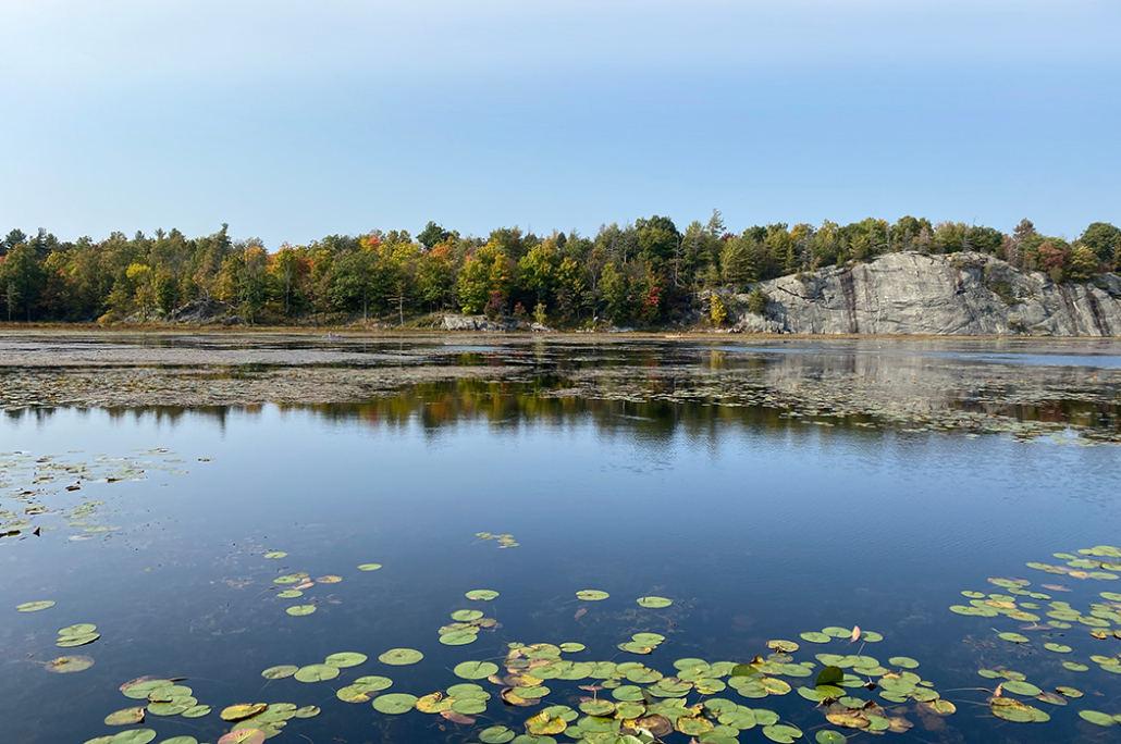 Grand Lake Reserve becomes forever wild