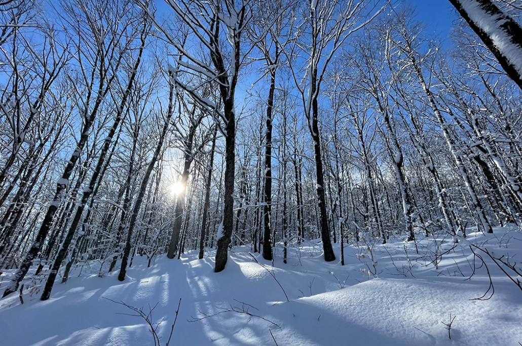 Six New Poems by Sean Prentiss, Inspired by Woodbury Mountain Wilderness Preserve