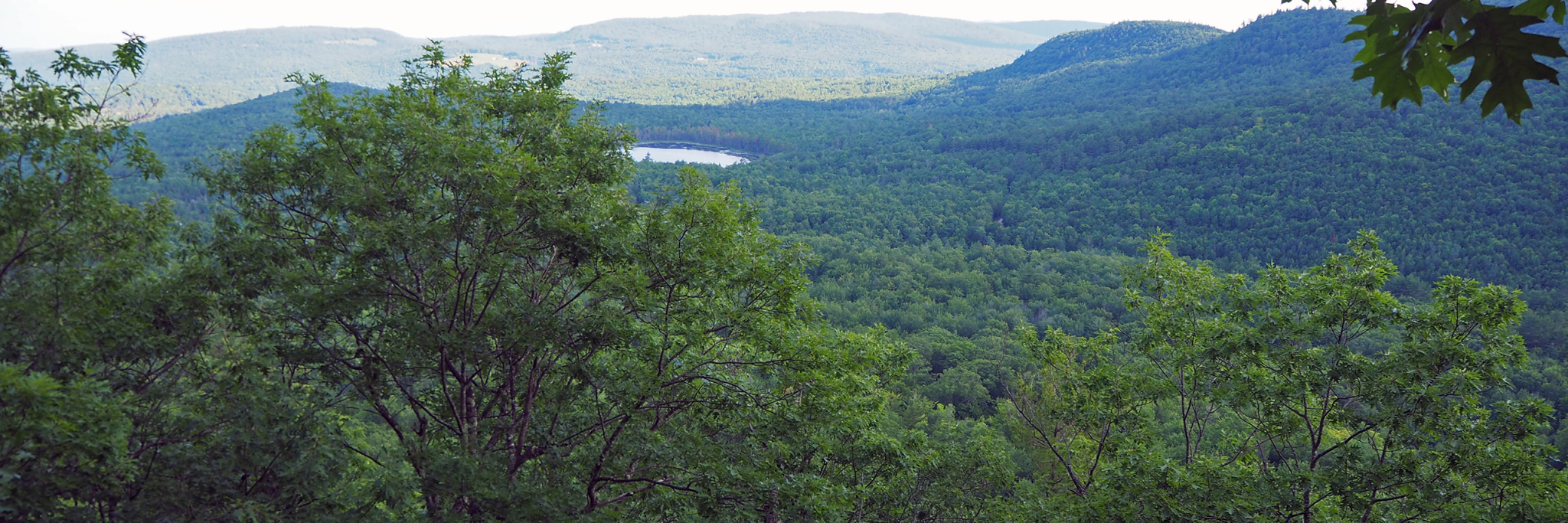 Header-Flint-SP