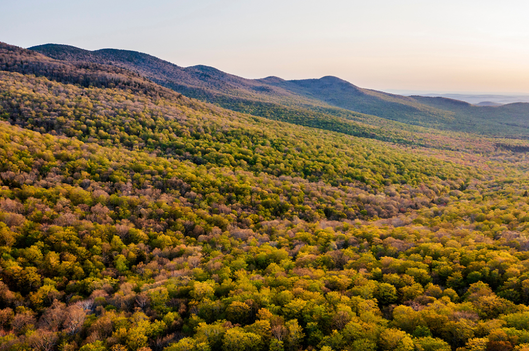 Bear's Nest Wilderness Preserve