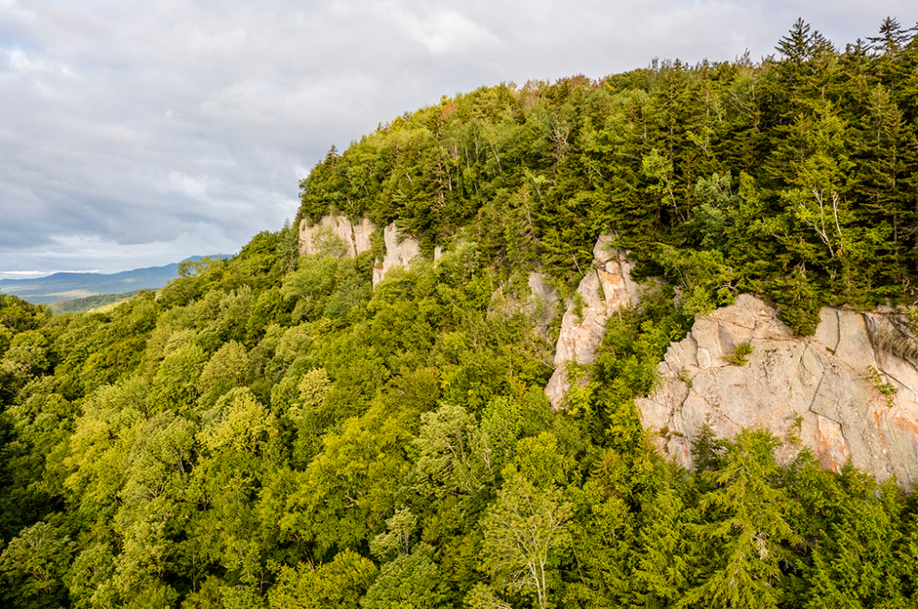 Land Trusts Can Enroll in Wildlands Carbon